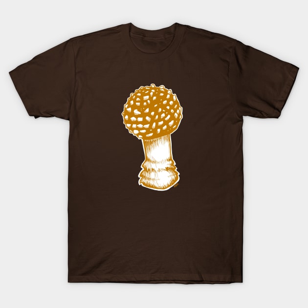 Amanita Muscaria in Yellow T-Shirt by RJKpoyp